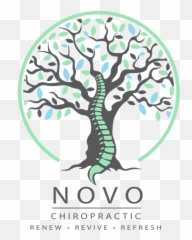 Chiropractic Care Hopkins Mn Novo Chiropractic Emoji,Png Novos Emotions Dacebooks