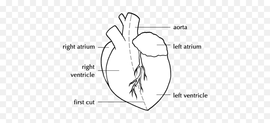 Gaseous Exchange In The Lungs - Language Emoji,Complex Emotion Chartillustration