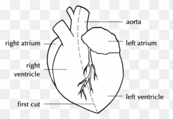 Gaseous Exchange In The Lungs - Language Emoji,Complex Emotion Chartillustration