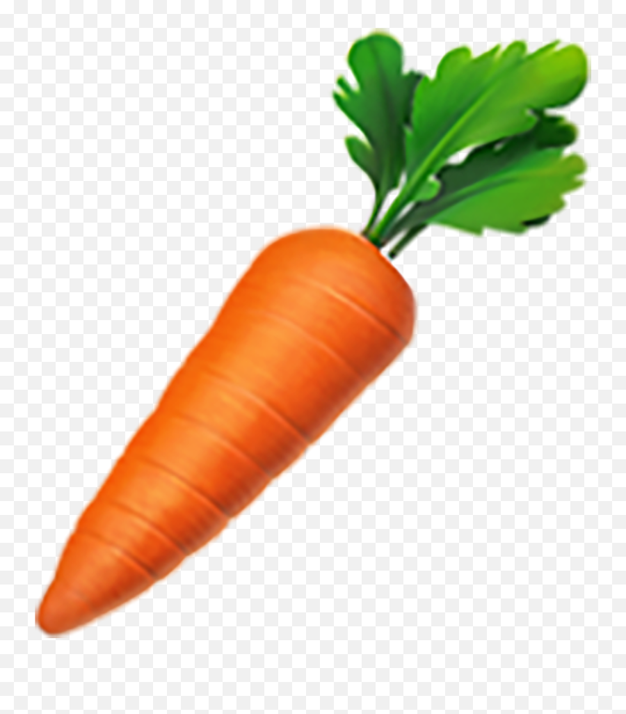 The Ultimate Glossary Of Sexting Emojis - Carrot Emoji Apple,The Ultimate Sexting Emoji Dictionary