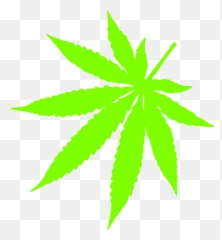Pot Leaf Pumpkin - Clipart Best Weed Leaf Emoji,Pot Leaf Emoticon