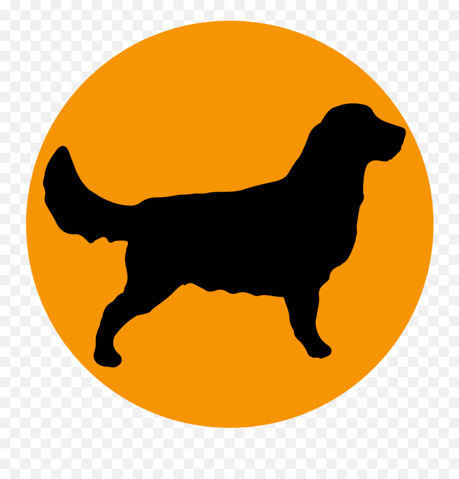 Pets Golden Wiggles Pet Shop In Indore Online Pet Shop - El Caballito Statue Emoji,Emojis Lab Pups