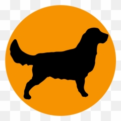 Pets Golden Wiggles Pet Shop In Indore Online Pet Shop - El Caballito Statue Emoji,Emojis Lab Pups