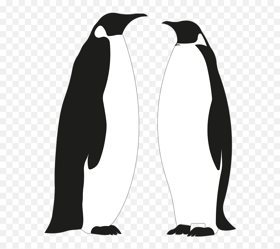 Free Photo Wildlife Animals Penguin Emoji,Craft Emotions Wildflowers Stencil