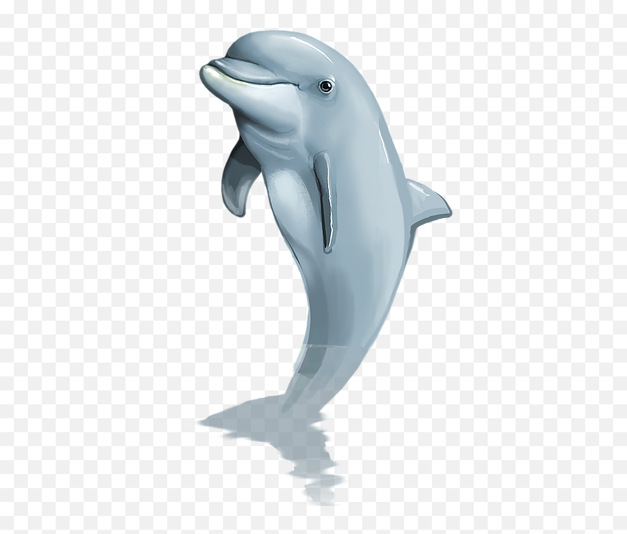 Find Us Atb - New Emoji,Black Dolphin Emoticon