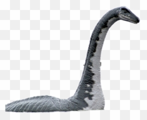 Nessie Sticker - Soft Emoji,Nessie Emoji