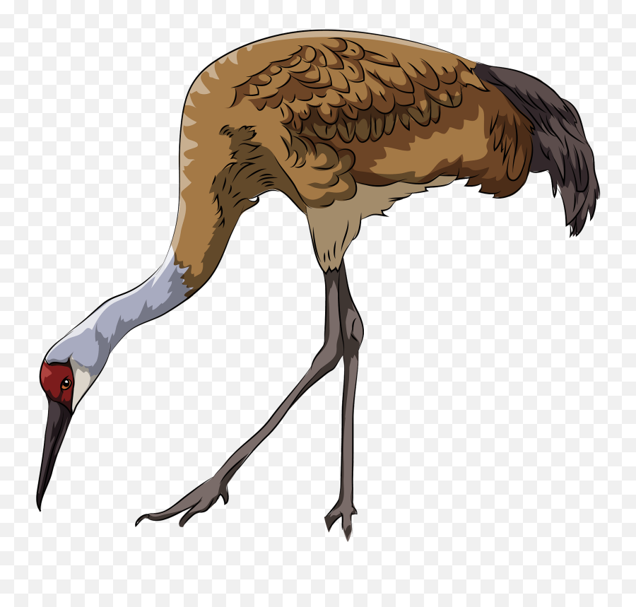 Sandhill Crane Clipart Free Download Transparent Png - Cartoon Sandhill Crane Clipart Emoji,Origami Owl Emojis