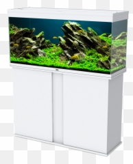 Emotions Pro 120 - Ciano Emotions Pro 100 Emoji,Water Emotions
