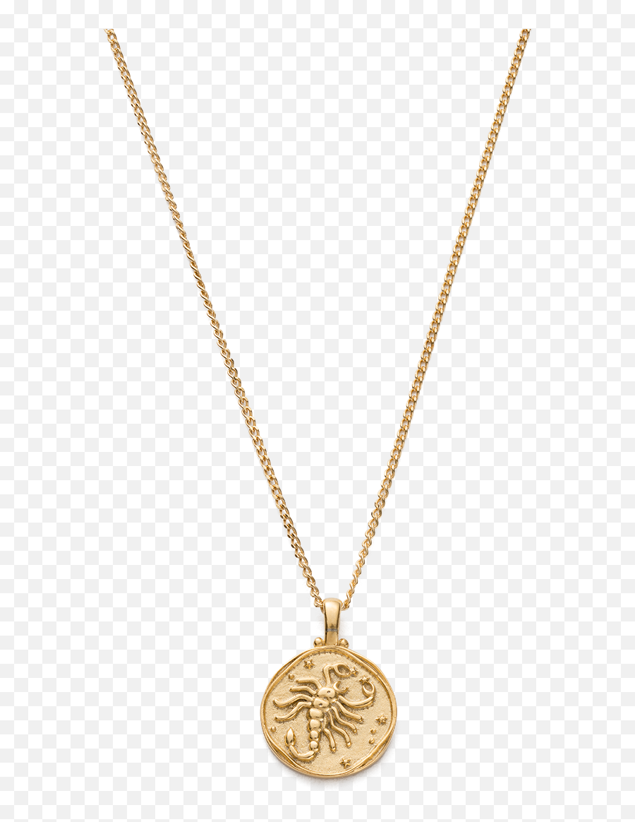 Scorpio Zodiac Necklace - Solid Emoji,Emotion Jewelry Pintrest