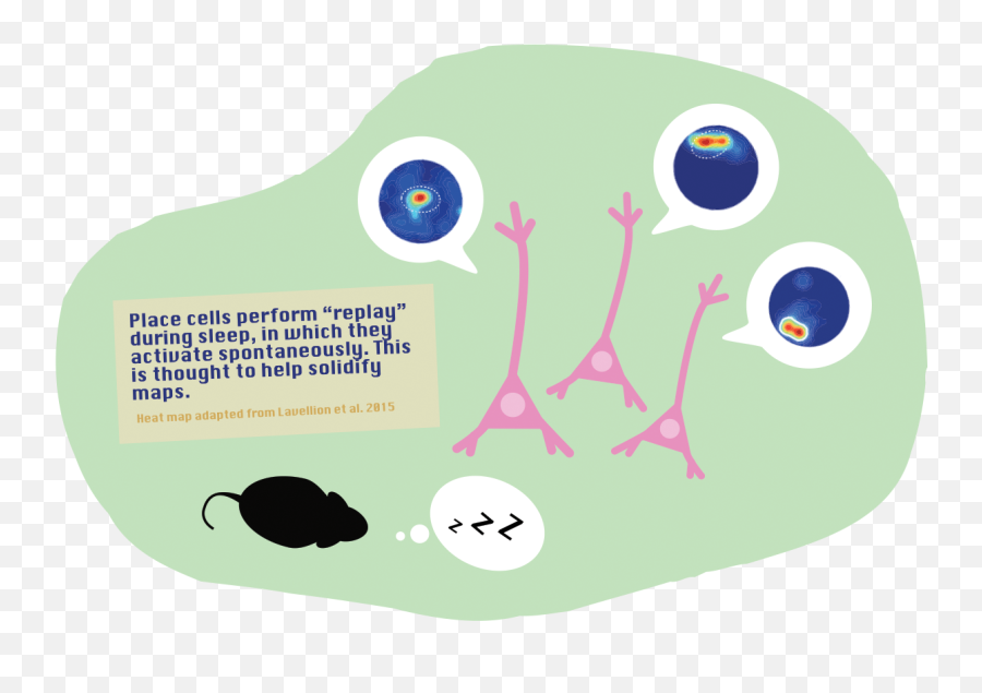 The Neurosphere - Dot Emoji,Shiutting Off Neural Activity Relating To Emotion