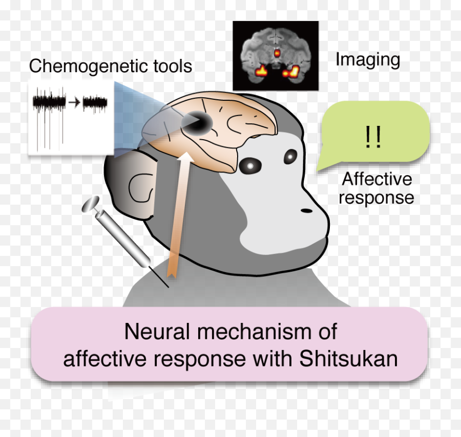 Planned Researchunderstanding Human Recognition Of - Language Emoji,Jaap Animal Emotion