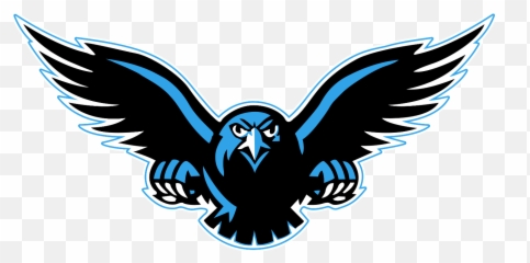 Falcon Clipart Transparent Falcon - Transparent Background Falcon Logo Png Emoji,Atlanta Falcons Emoji