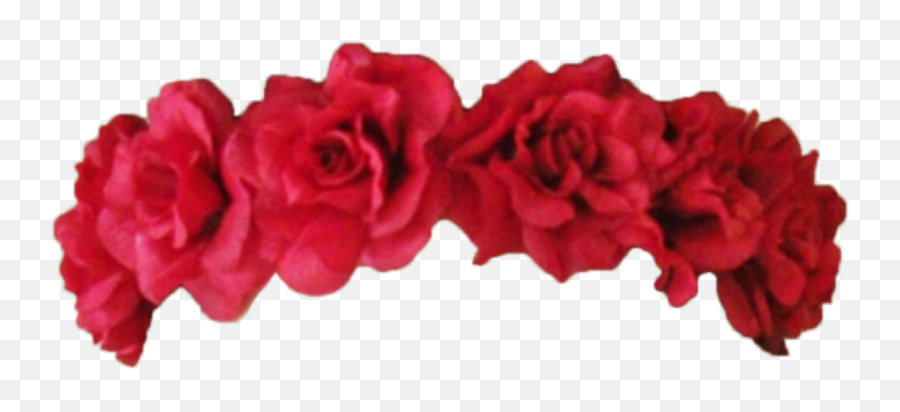 Flowers Flower Png Pngtumblr Sticker Tumblr Interesting - Red Flower Crown Png Emoji,Red Rose Emoji