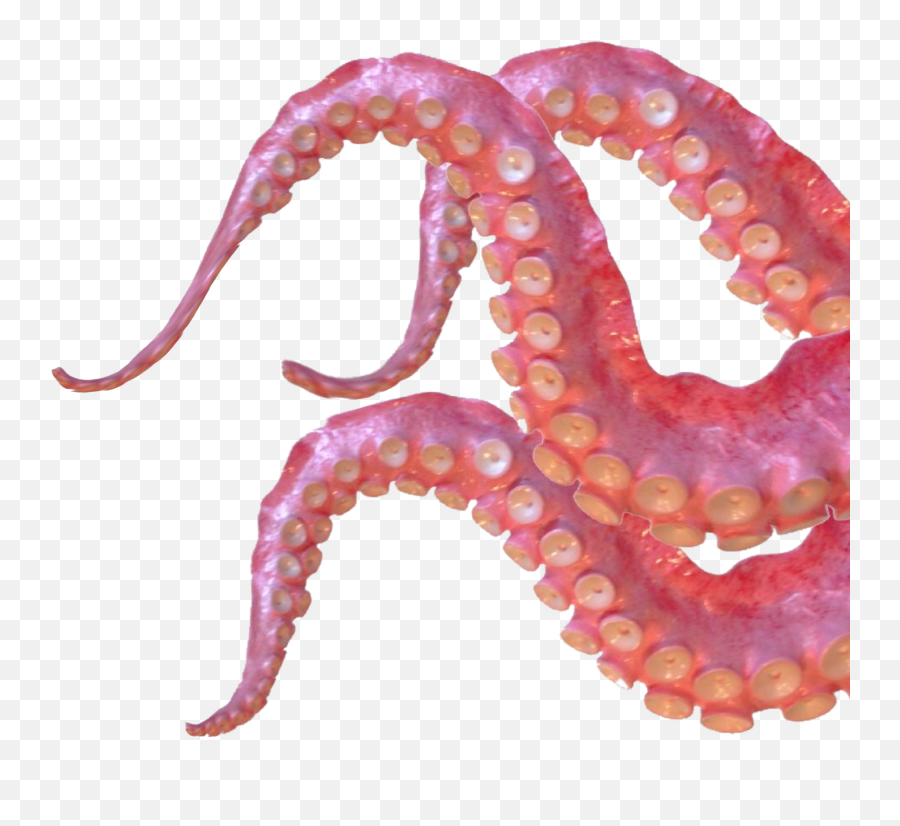 Tentacles Octopus Animals Ocean Sticker By Dinaaaaaah - Transparent Tentacle Png Emoji,Octopus Emoji