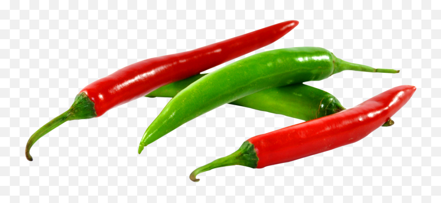 Jalapeno Clipart Green Chilli Jalapeno - Red And Green Chili Png Emoji,Chili Pepper Emoji