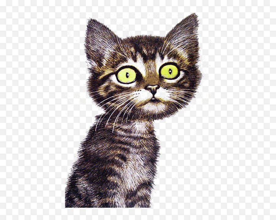 Domestic Short - Haired Cat Clip Art Library Domestic Cat Emoji,Latigo Emoticon