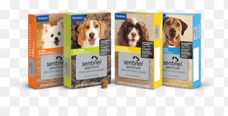 Feline Euthanasia - Part 2 Clinical Considerations And Dog Food Emoji,Signs Of A Cat Emotions