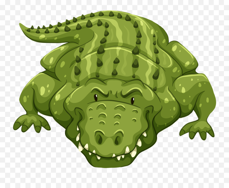 Crocodile Clipart Zoo Animal - Cartoon Alligator Front View Crocodile Flashcard Emoji,Facebook Emoticons Alligator