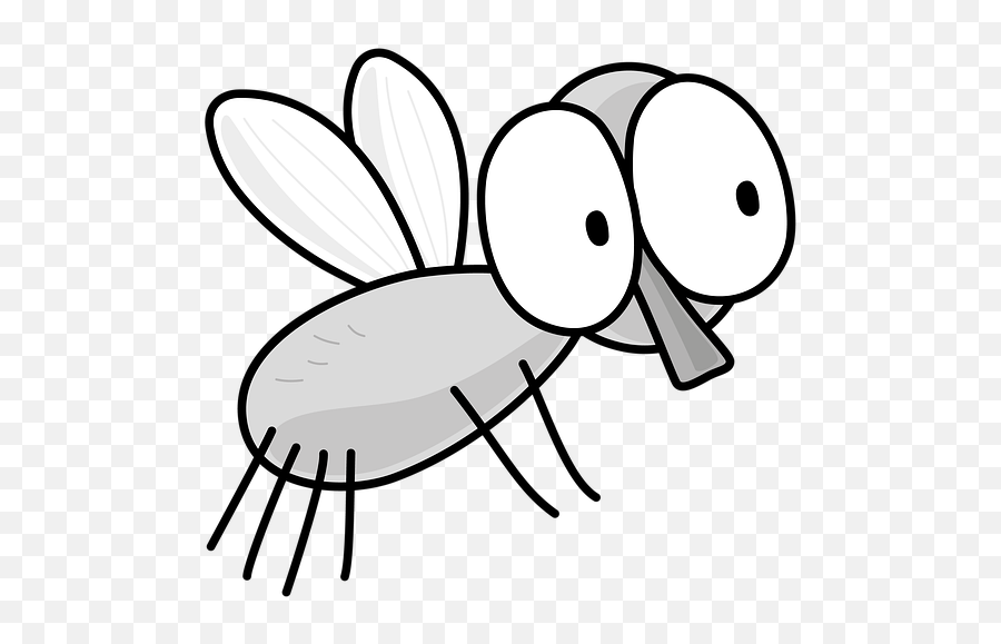 Free Photo Drawing Insect Cartoon Fly - Cartoon Fly With Bug Eyes Emoji,How To Draw A Cartoon Animal Eye Emotion