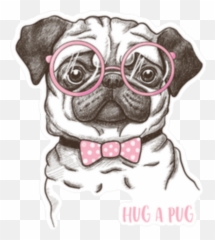 Girly Cute Sticker Pink Sticker - Pug Vector Drawing Emoji,Quotes Of Females Posting Pics Of The Snapchat Emoji Dog