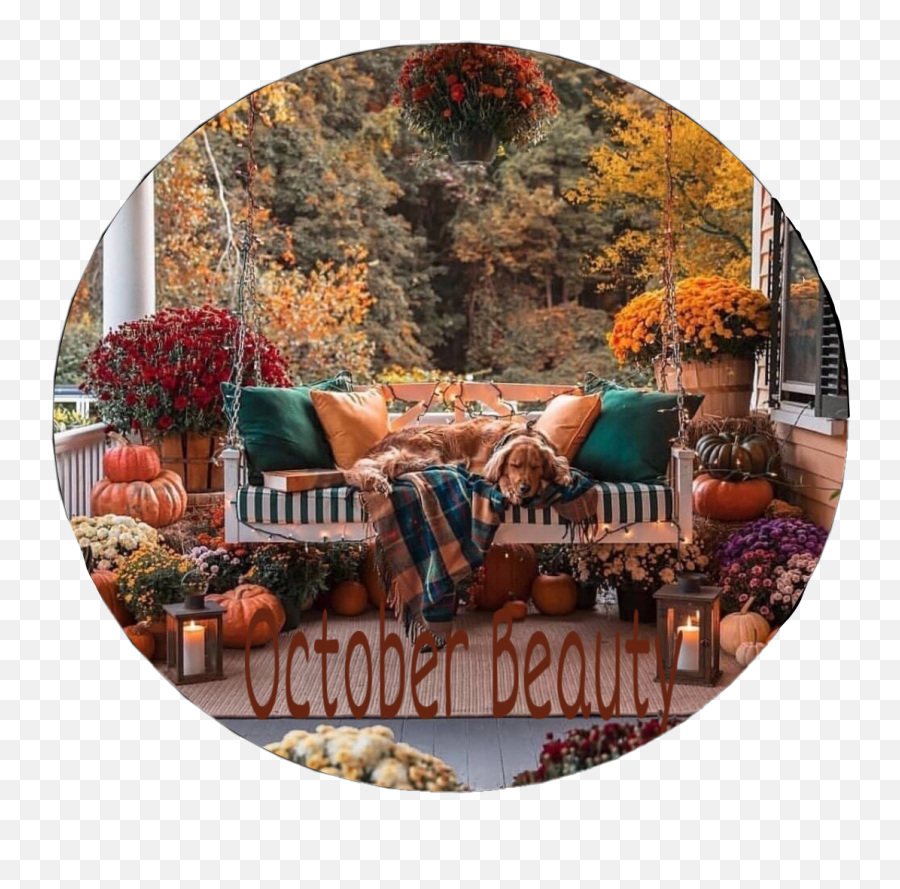 October Beauty Porch Swing Sticker By Kimmytasset - Interior Design Emoji,Puppy Emoji Pillow