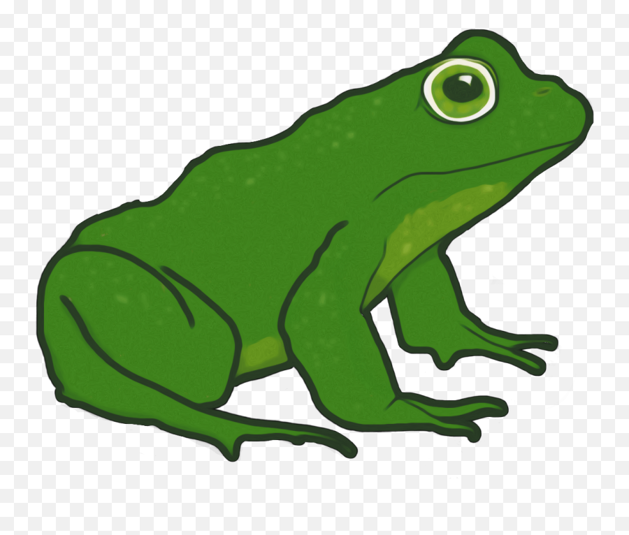 View 30 Aesthetic Frogs Drawing - Factmovecolor Emoji,Twitter Frog Emoticon