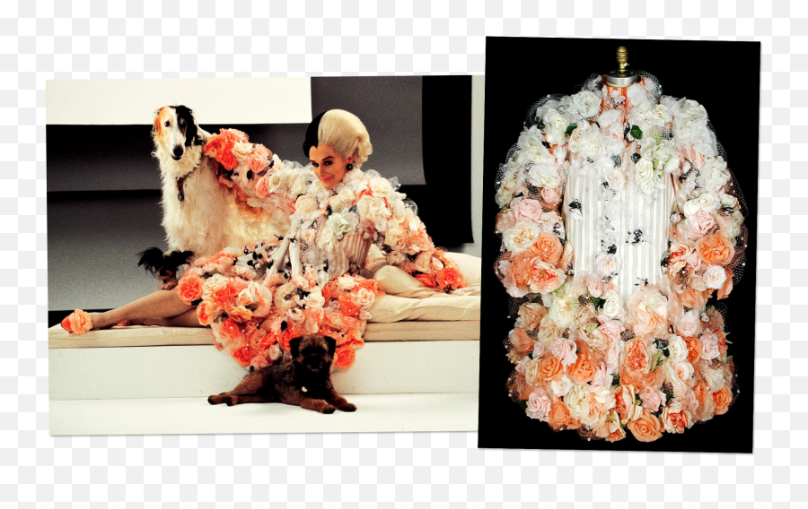 The Gorgeous Cruella De Vil Costumes - Costume Cruella De Vil Glenn Close Emoji,Inside Out Emotions Costumes