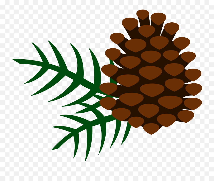 Pine Tree Clip Art - Pine Cone Clipart Emoji,Pine Branch Emoji