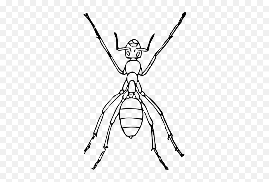Ant Line Png Hd Image Pngimagespics Emoji,Ant Man Emoji
