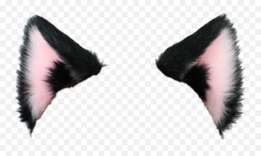 The Most Edited Soft Picsart Emoji,Guess The Emoji Cat Arrow Hat