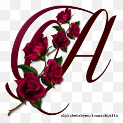 Monica Michielin Alphabets 042320 Emoji,Emojis Png Oracao