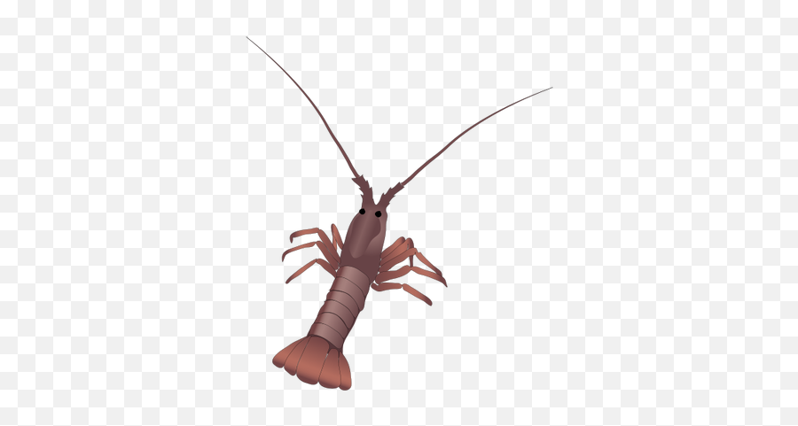 Its Tail So Itu0027s Common For Lobstermen To To Cut Off - Sam Emoji,Rust Emoji