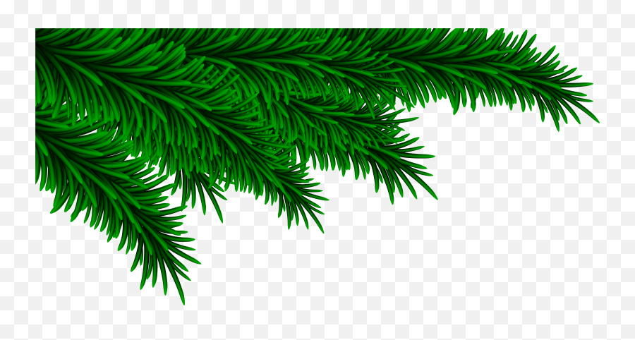 Pine Branches - Christmas Green Leaves Png Emoji,Pine Branch Emoji