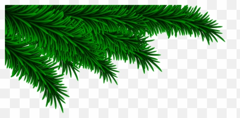 Pine Branches - Christmas Green Leaves Png Emoji,Pine Branch Emoji