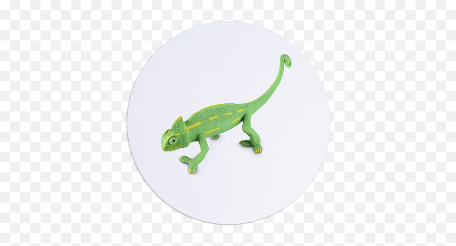 For Lumen Beings Cameo - Animal Figure Emoji,Chameleons Color Emotions