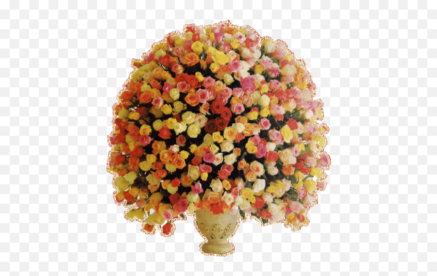 Top Tumblr User Bwimine Stickers For Android U0026 Ios Gfycat - Mensagem De Gif Bom Dia Flores Emoji,Chrysanthemum Emoji