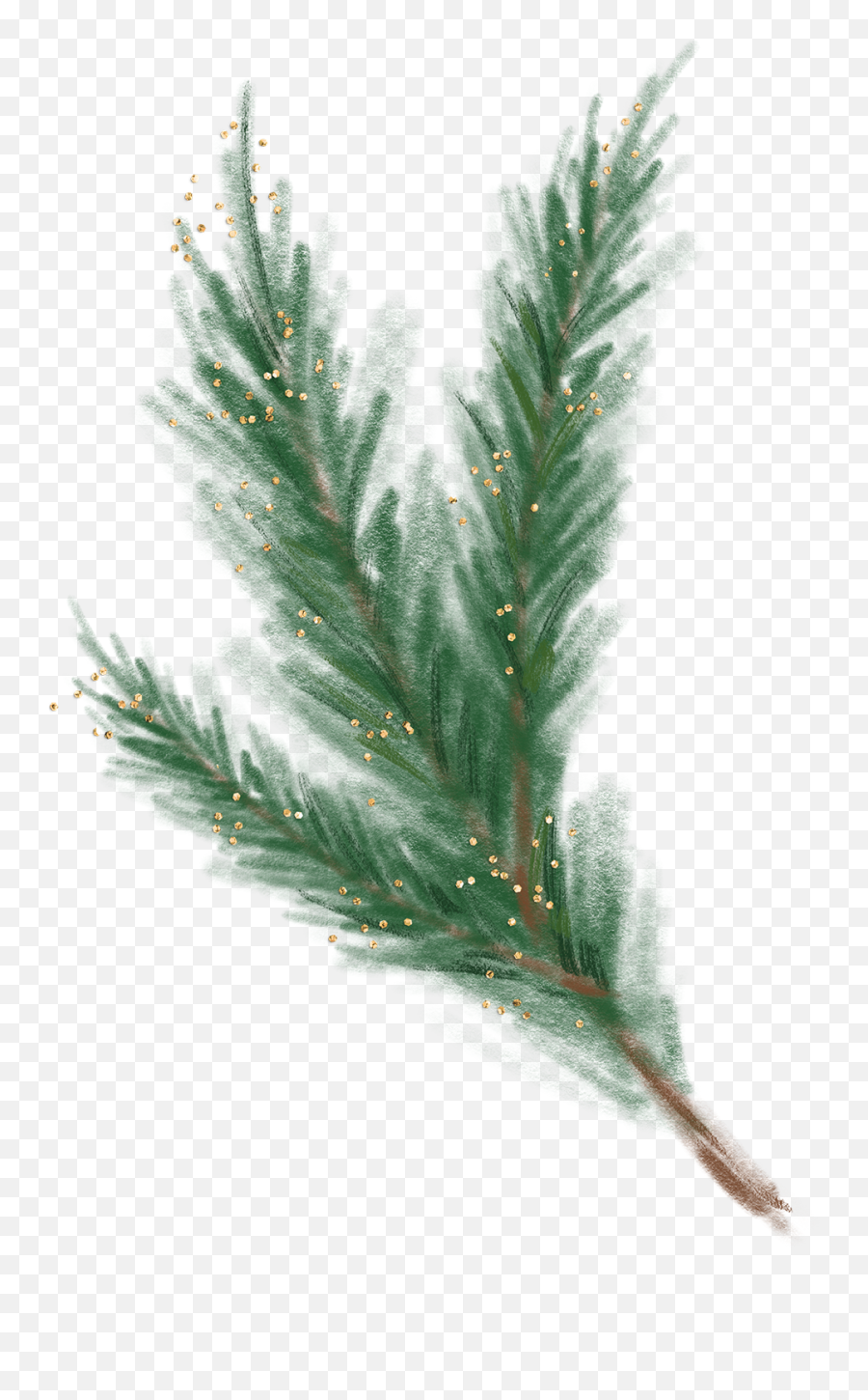 Branch Christmastree Conifer Sticker - Juniper Emoji,Pine Branch Emoji