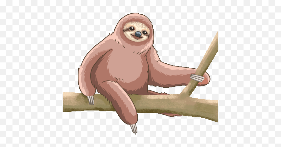 Sloth Pygmy Three Toed Sloth Gif - Sloth Pygmythreetoedsloth Discover U0026 Share Gifs Pygmy Sloth Emoji,Sloth Emoticon Facebook