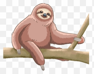 Sloth Pygmy Three Toed Sloth Gif - Sloth Pygmythreetoedsloth Discover U0026 Share Gifs Pygmy Sloth Emoji,Sloth Emoticon Facebook