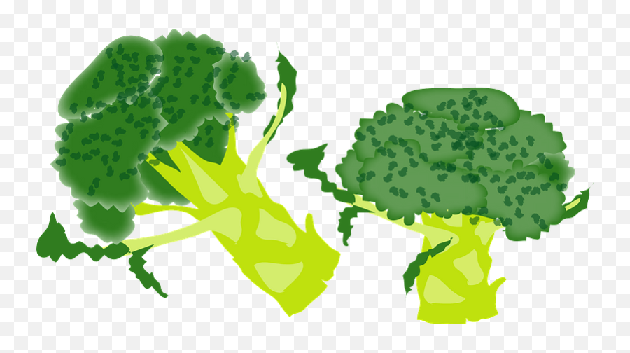 Broccoli Vegetable Clipart - Png Download Full Size Broccolis Clipart Emoji,Cabbage Emoticon