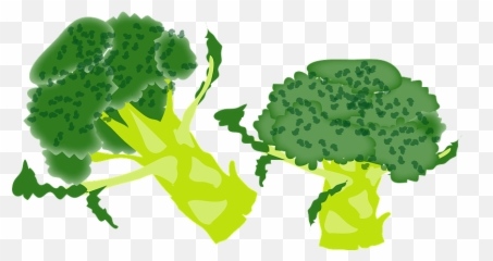 Broccoli Vegetable Clipart - Png Download Full Size Broccolis Clipart Emoji,Cabbage Emoticon