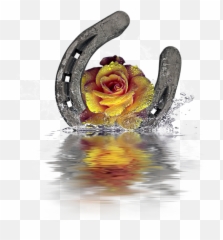 Horseshoe Rose Splash Hand Towel For - Horseshoe Emoji,What Is The Emotion For Yellow Roses