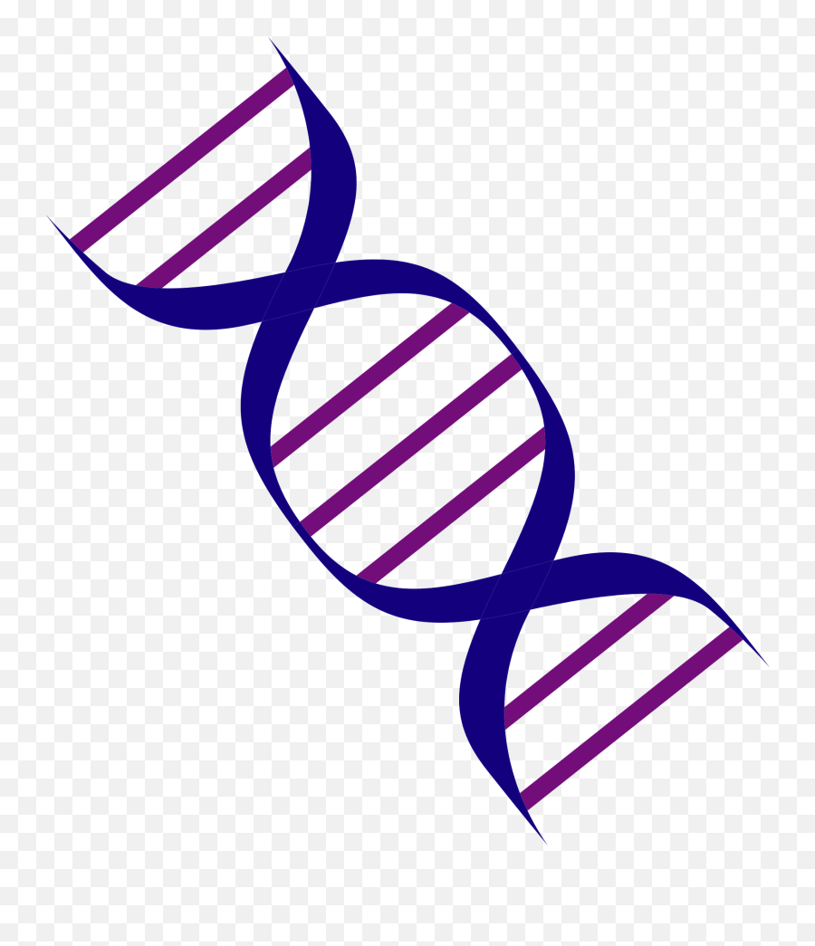 Dna Gene Clipart - Gene Clipart Png Emoji,Dna Emoji