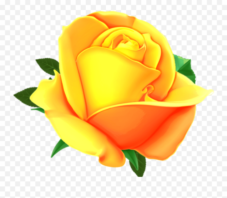 Best Transparent Iphone Rose Emoji Nachural Png Download,Rose Emojie