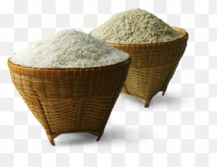 Karaoke Version All About That Bass - Flour Mill Emoji,Aerosmith Sweet Emotion Bass Tab