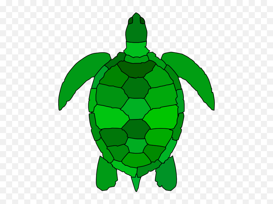 Free Cartoon Turtle Png Download Free - Cartoon Turtle Shell Emoji,Turtle Shell Emoji