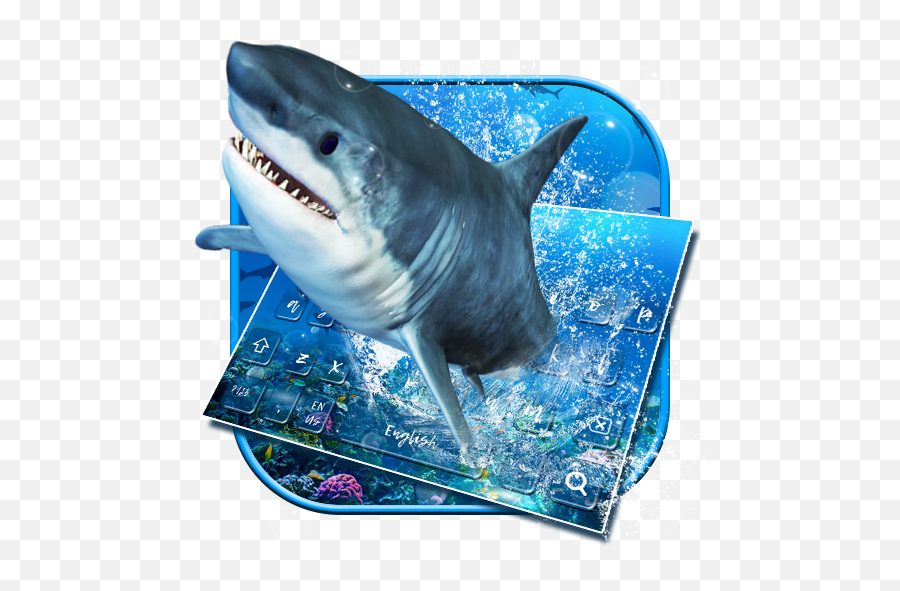 Ocean Shark Keyboard Theme - Lo Squalo Icon Png Emoji,Shark Emoji