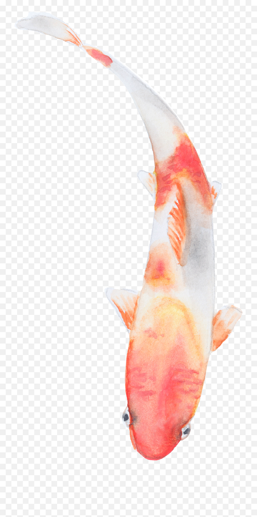 Download Gif Transparent Fish Png Base Pikachu Clip Art - Koi Emoji,Fish Emojis