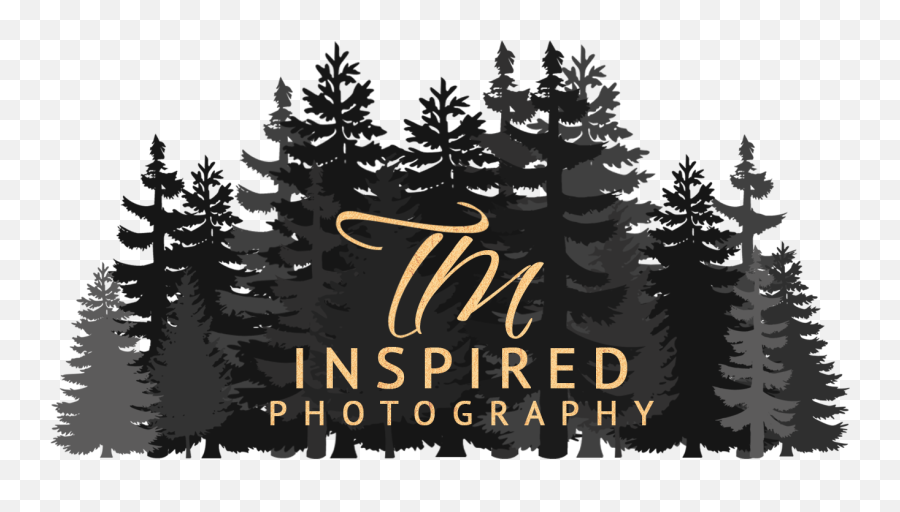 Testimonials Lifestyle U0026 Wedding Photographer - Forest Gif Transparent Emoji,Videos On Photographing Emotions