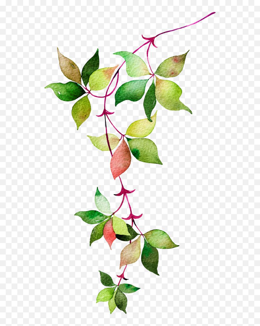 Flower Euclidean Icon Watercolor Leaves - Leaves Transparent Background Green Png Emoji,Pngs Emojis Leaf